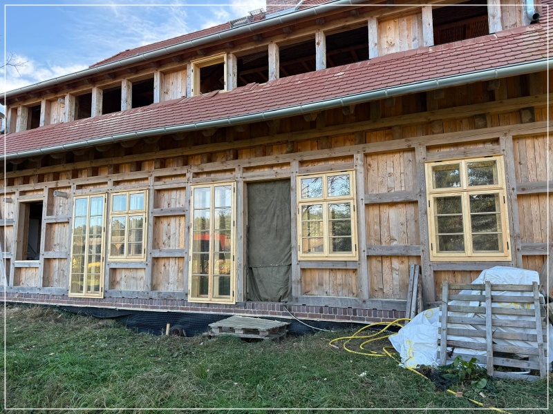 Holzfenster - Dresden (1)