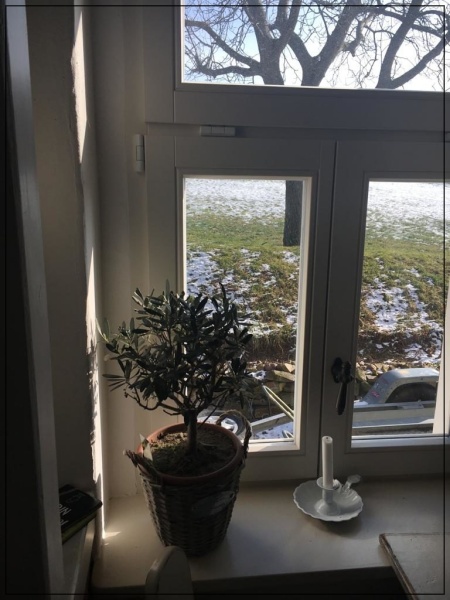 Holzfenster, Kastenfenster - Hamburg Dresden München Dortmund Essen Duisburg